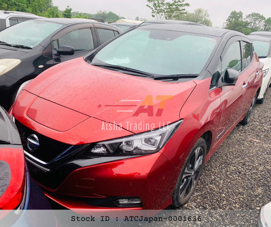 2019 Nissan leaf
